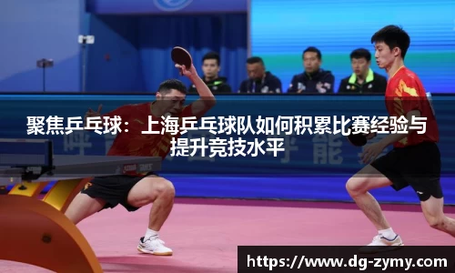 聚焦乒乓球：上海乒乓球队如何积累比赛经验与提升竞技水平