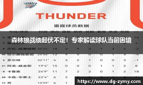 森林狼战绩起伏不定！专家解读球队当前困境