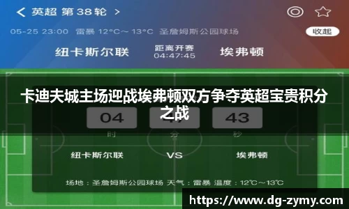 卡迪夫城主场迎战埃弗顿双方争夺英超宝贵积分之战